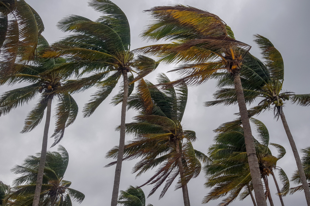 hurricane claim surges